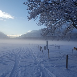 Voler en hiver