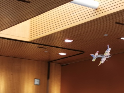 Avion flexible