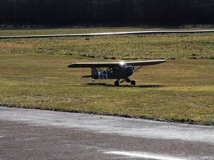 Le piper Cub de David