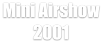 Mini Airshow  2001