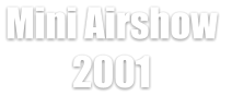 Mini Airshow  2001